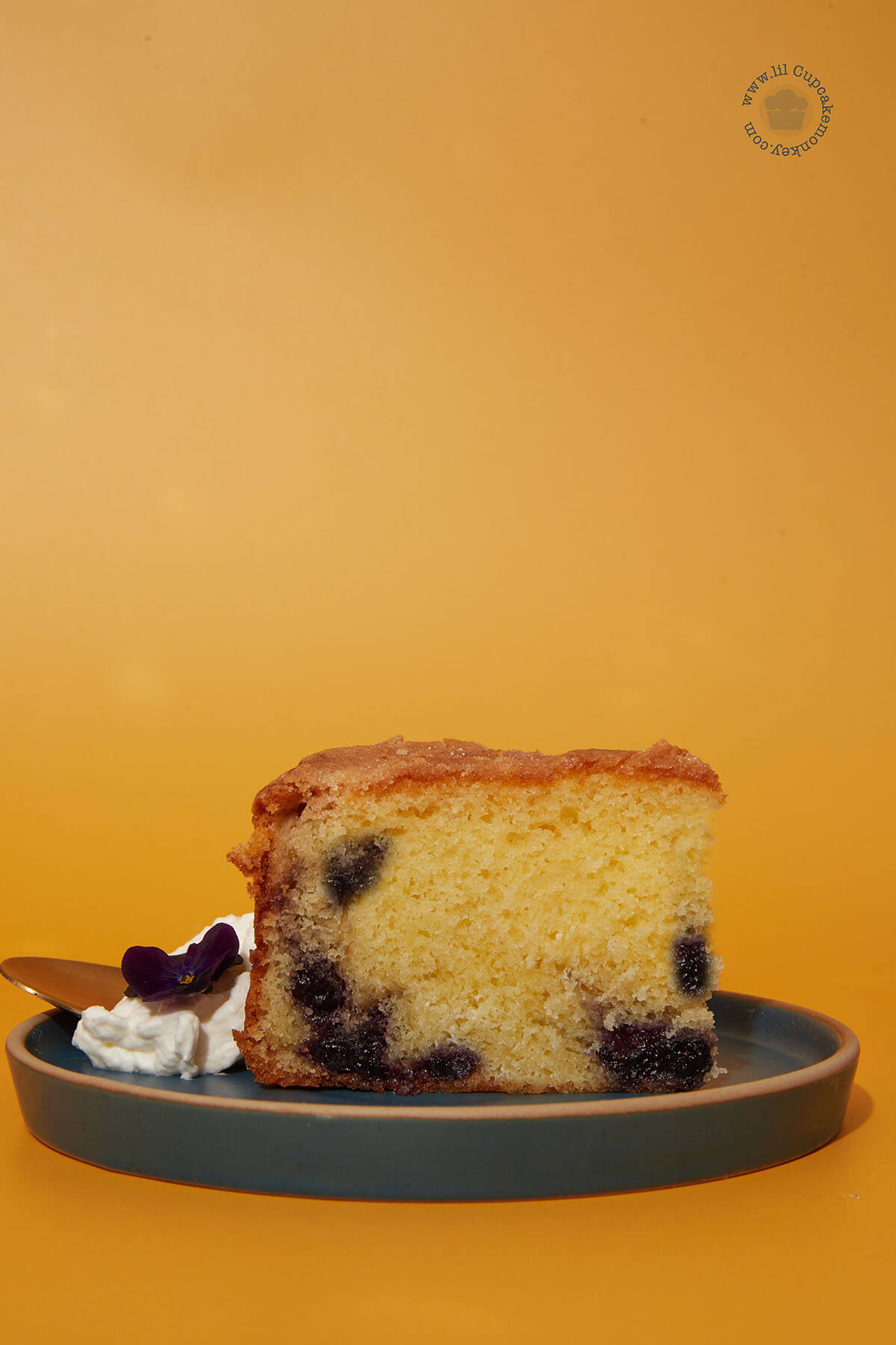 Blueberry Jam Cake Lil Cupcake Monkey