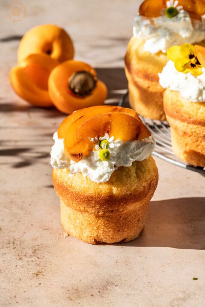 apricots and honey cakelets | lilcupcakemonkey.com